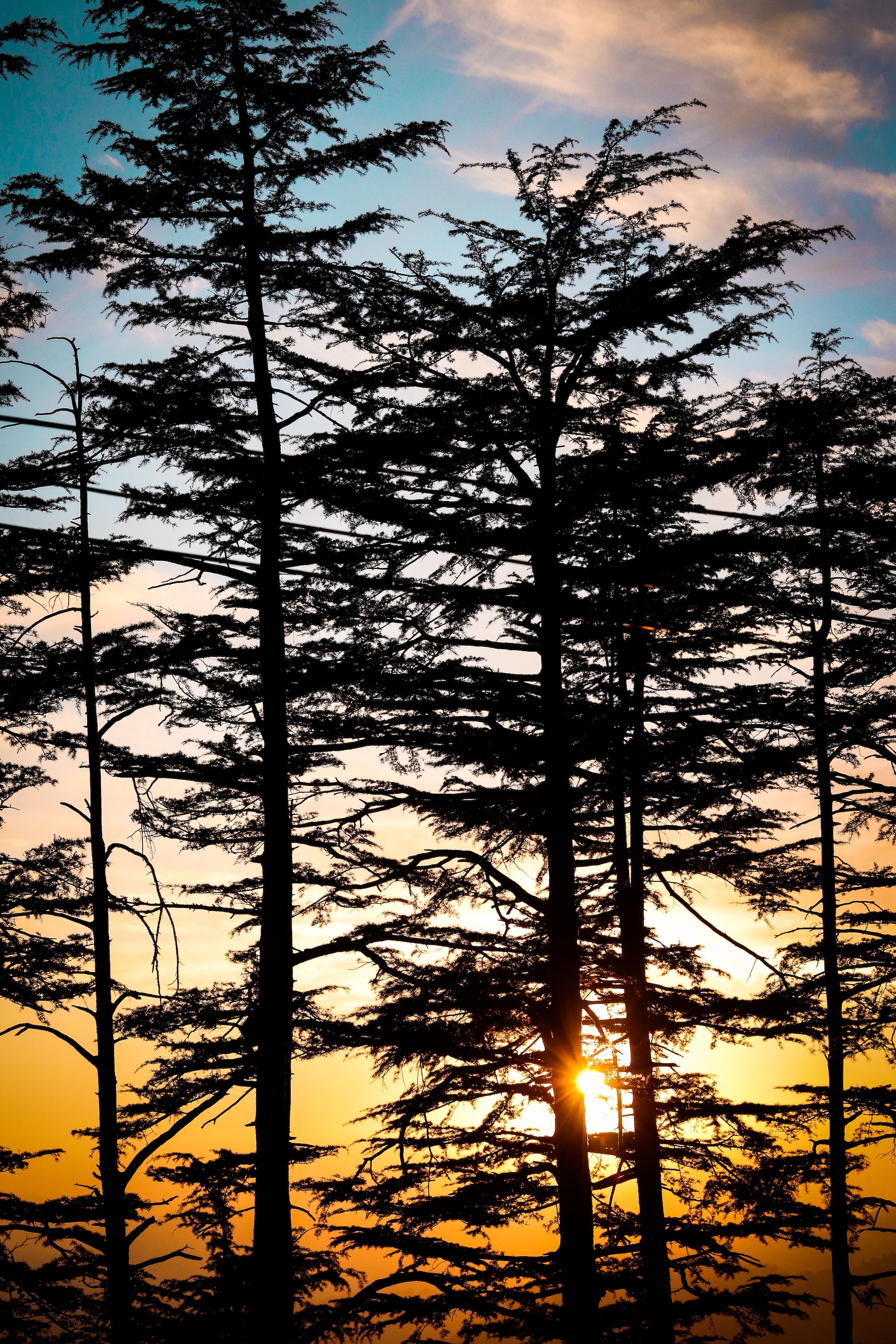 manali1